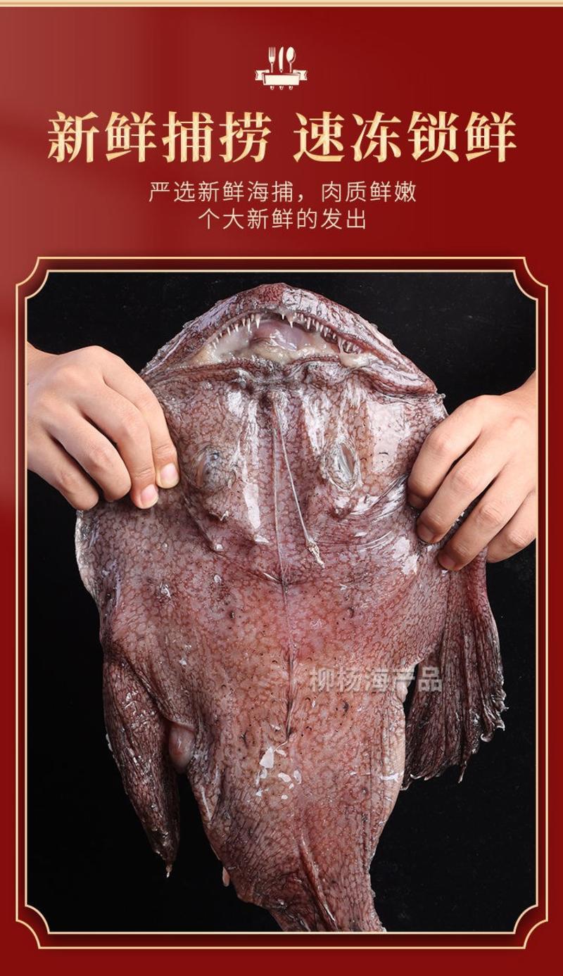 新鲜安康鱼海捕鲜活鮟鱇鱼海鲜水产灯笼鱼【9-10斤装】