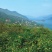 东江湖清江柑橘