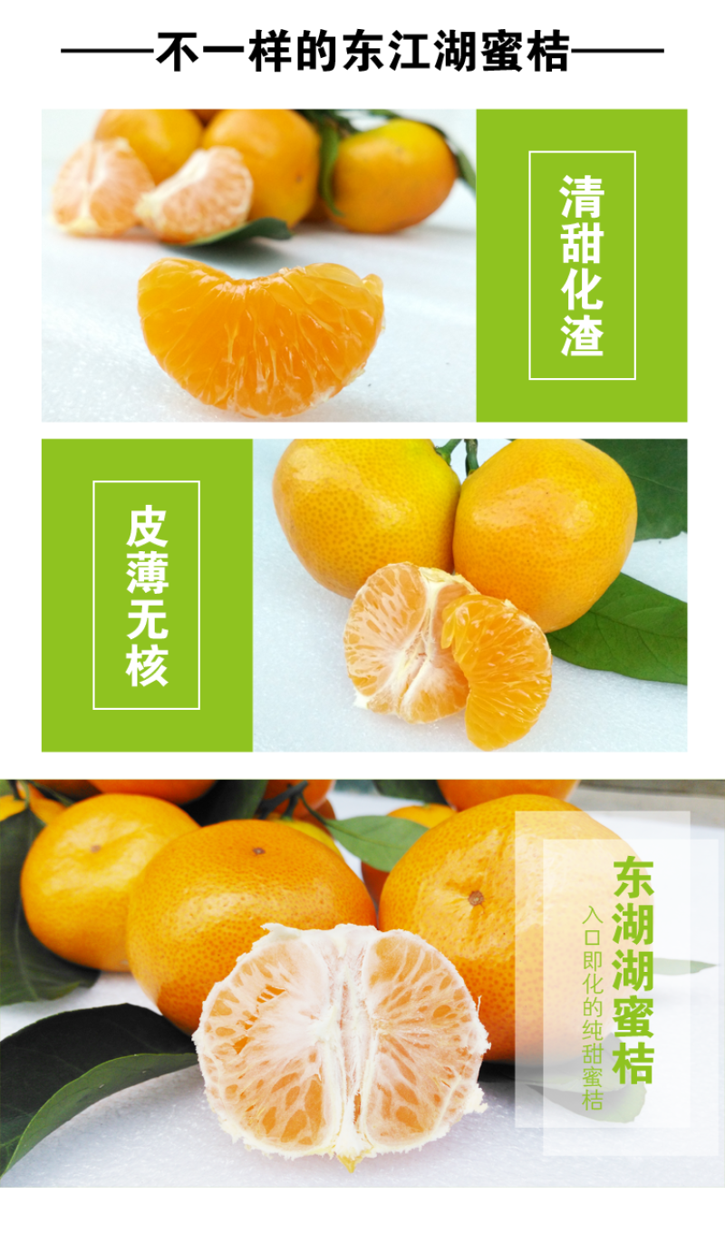 东江湖清江柑橘