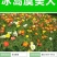 冰岛虞美人种子耐寒耐阴春秋播花种子景观花海易活庭院盆栽