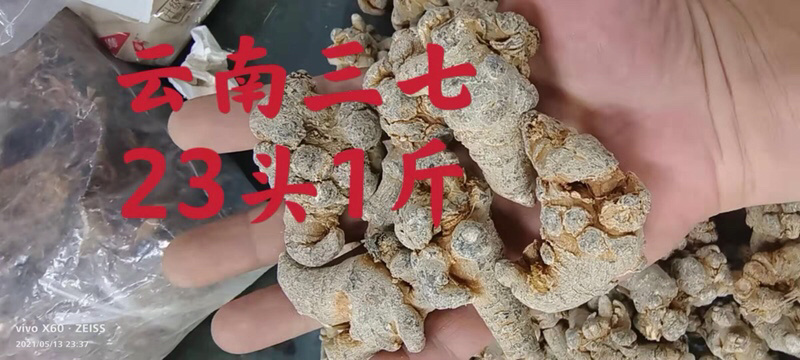 精选云南三七田七一手货源质量保证新货促销
