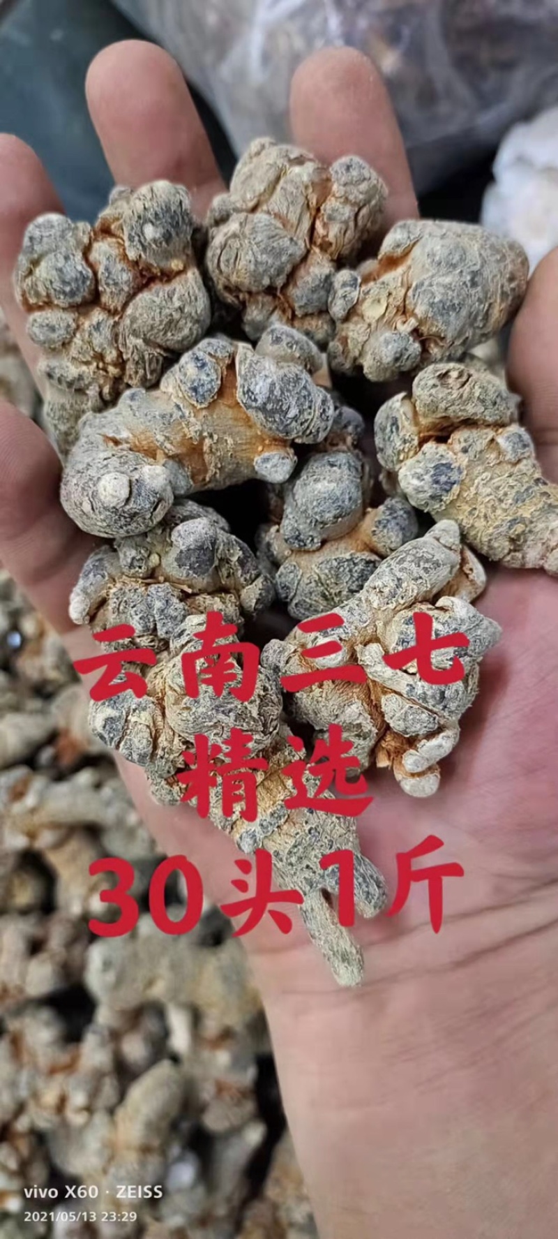 精选云南三七田七一手货源质量保证新货促销