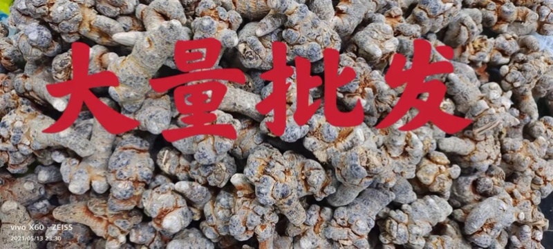 精选云南三七田七一手货源质量保证新货促销