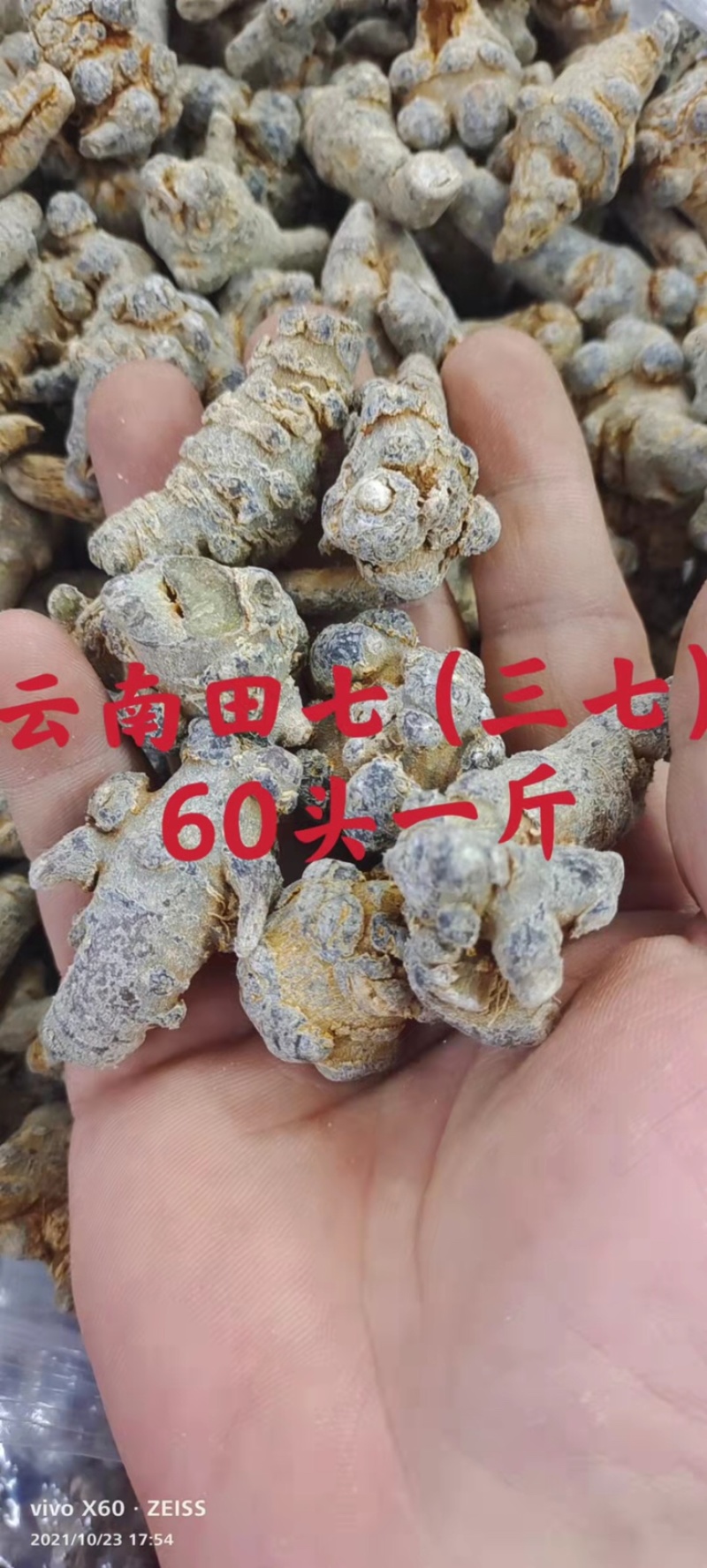 精选云南三七田七一手货源质量保证新货促销