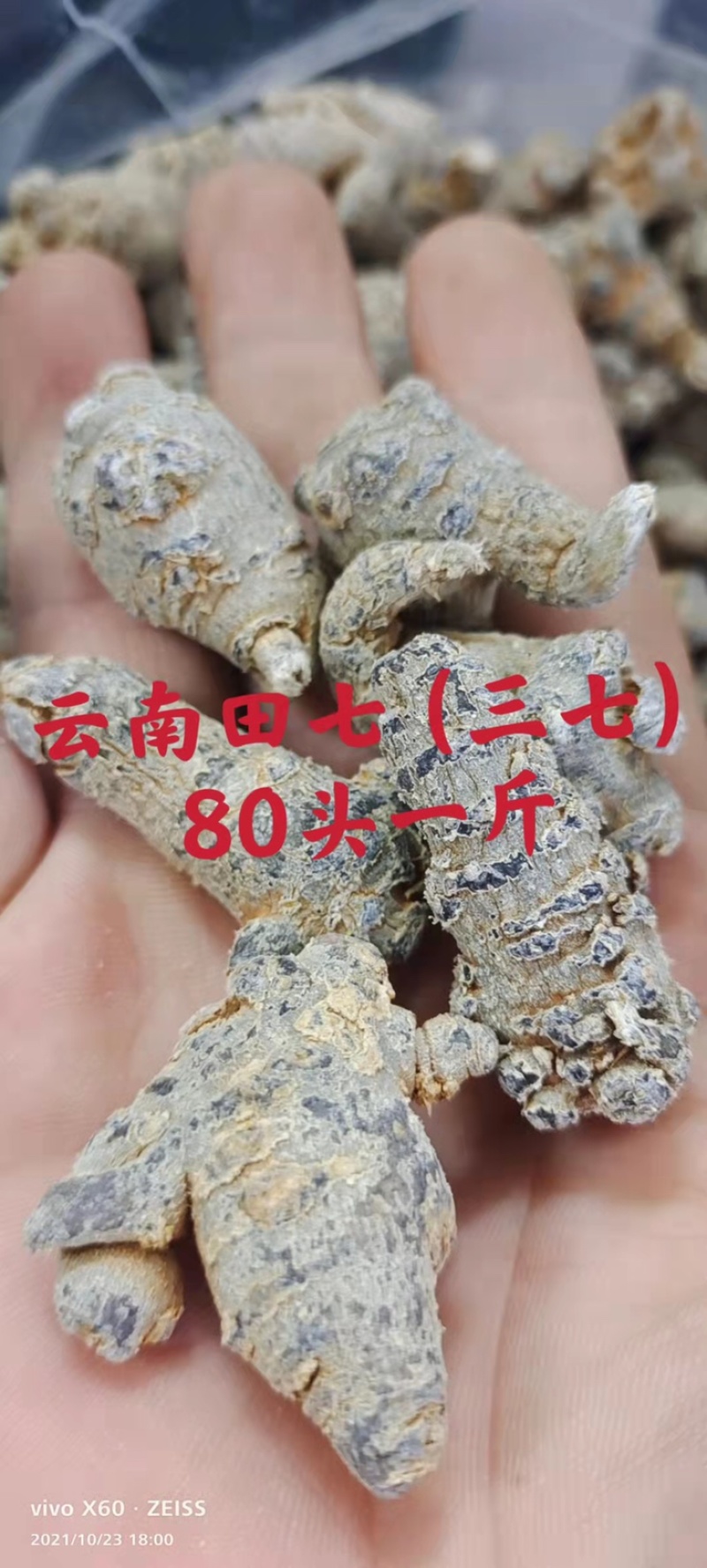 精选云南三七田七一手货源质量保证新货促销