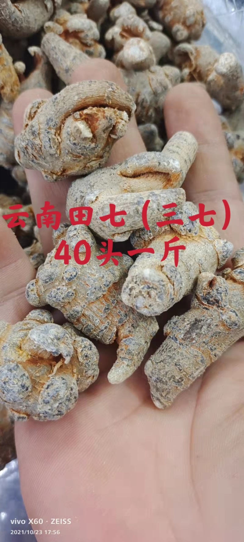 精选云南三七田七一手货源质量保证新货促销