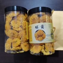 桃菊
