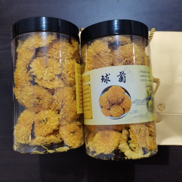桃菊