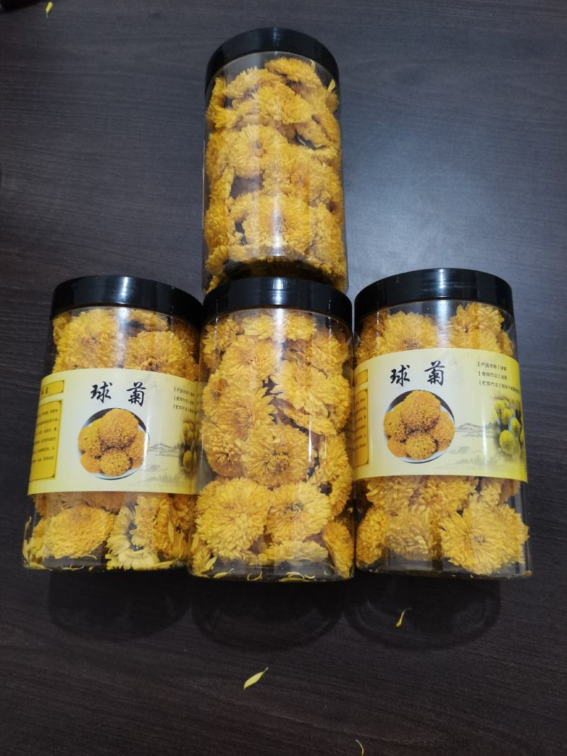 桃菊