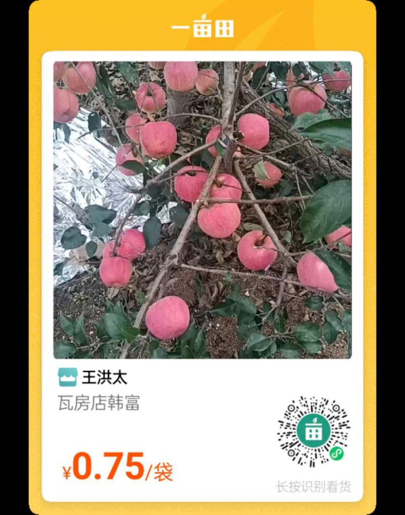 瓦房店韩富