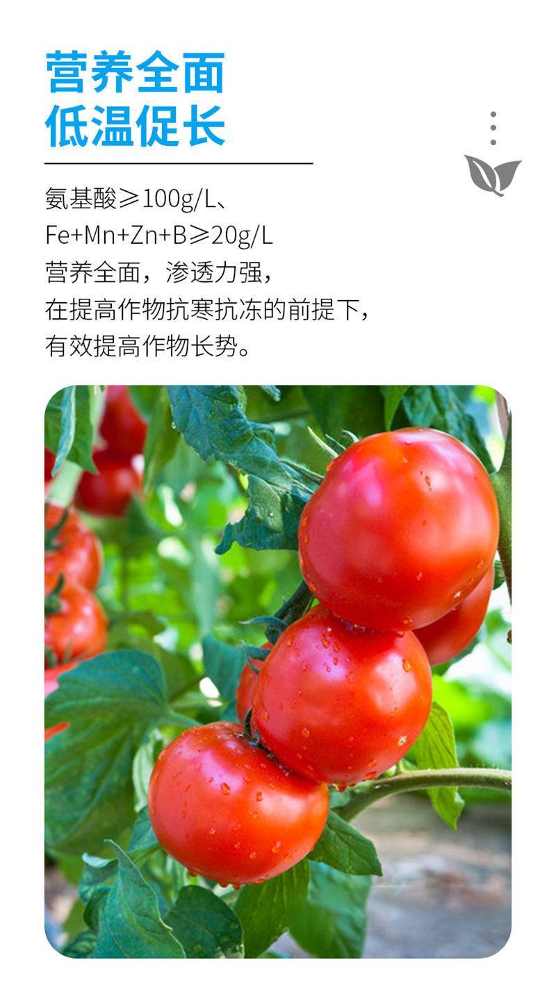 植物防冻剂大棚防冻剂植物防冻液蔬菜花卉果树专用大棚防冻液