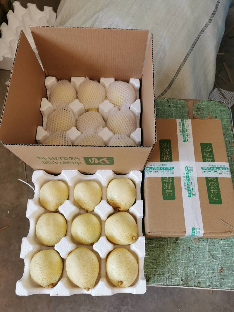 鸭梨纸箱250~300g