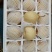 鸭梨纸箱250~300g