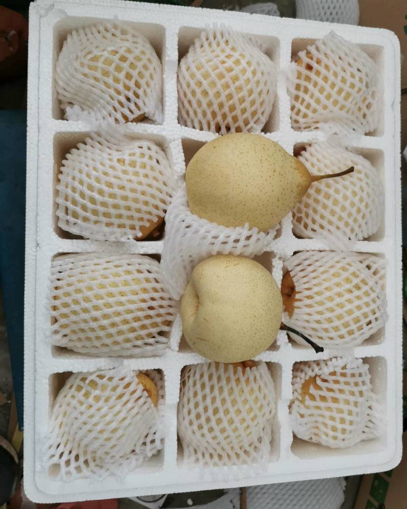 鸭梨纸箱250~300g