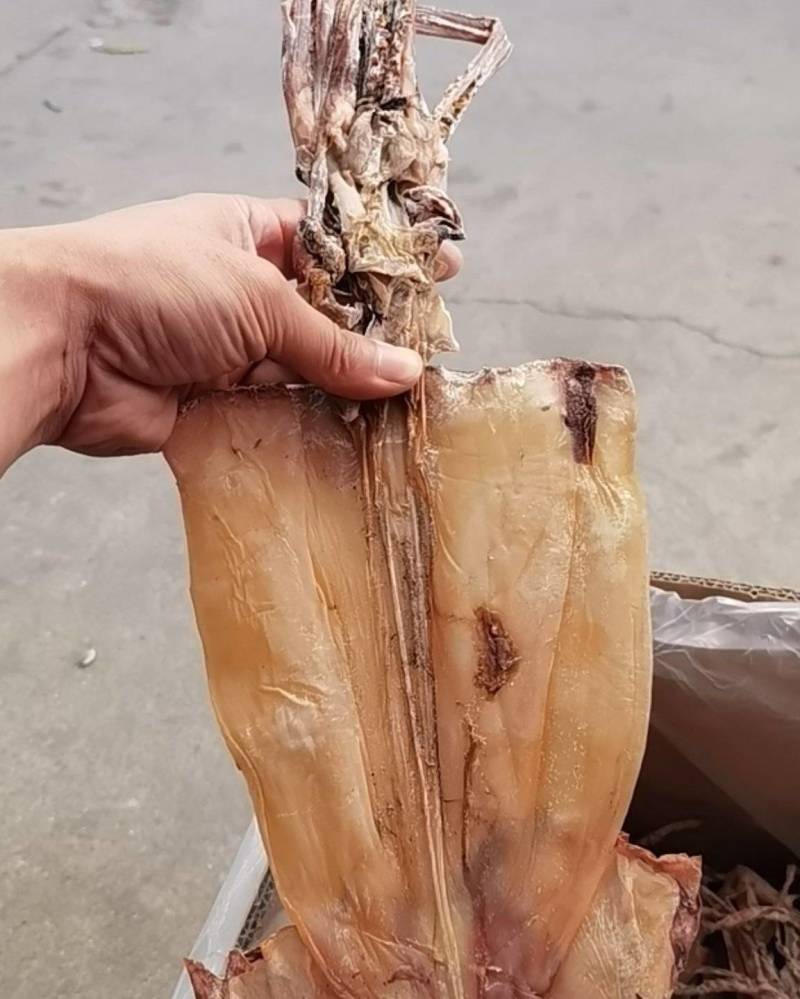 鱿鱼干，盐干淡干产地直发，适合农贸地摊电商，大量批发