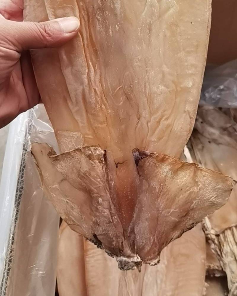 鱿鱼干，盐干淡干产地直发，适合农贸地摊电商，大量批发
