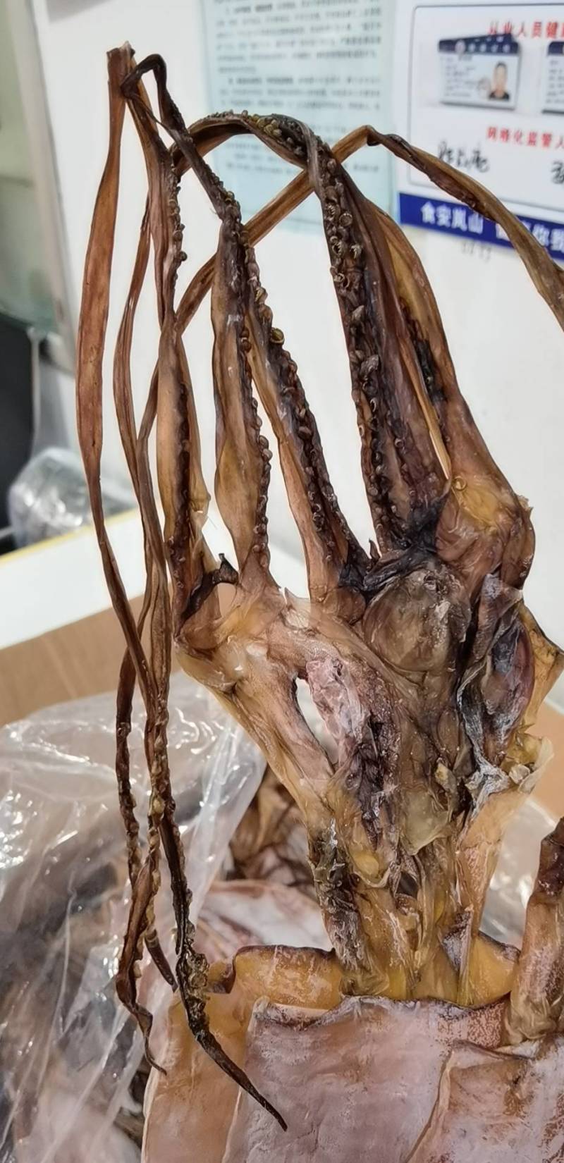 鱿鱼干，盐干淡干产地直发，适合农贸地摊电商，大量批发