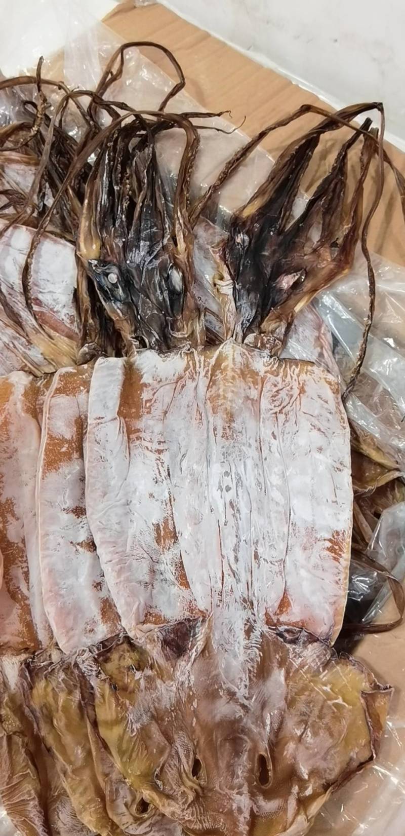 鱿鱼干，盐干淡干产地直发，适合农贸地摊电商，大量批发