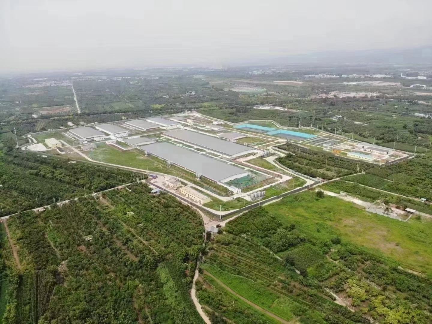 生猪出栏与市场销售场景