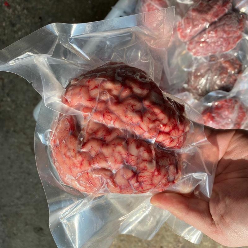 新鲜牛脑黄牛脑花火锅红烧牛大脑左右两个脑一个一斤左右