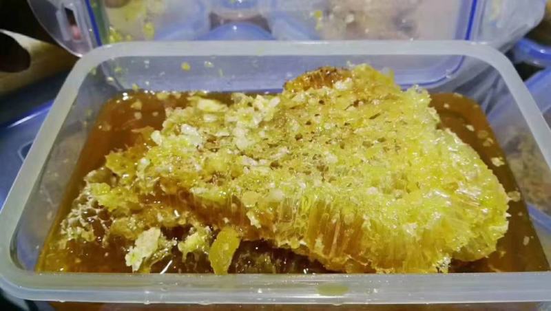 高原纯野生花蜂蜜............