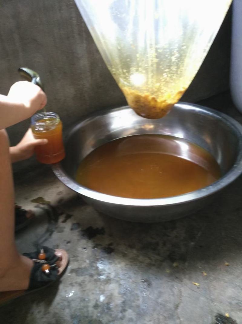 高原纯野生花蜂蜜............