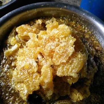 高原纯野生花蜂蜜............
