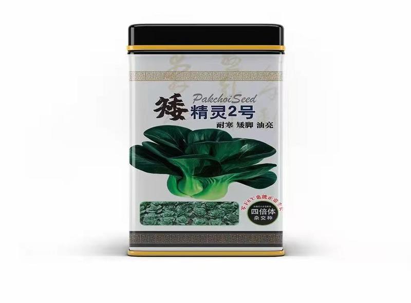 矮精灵2号杂交苏州青种子，苏州青青菜种子200克矮脚耐寒