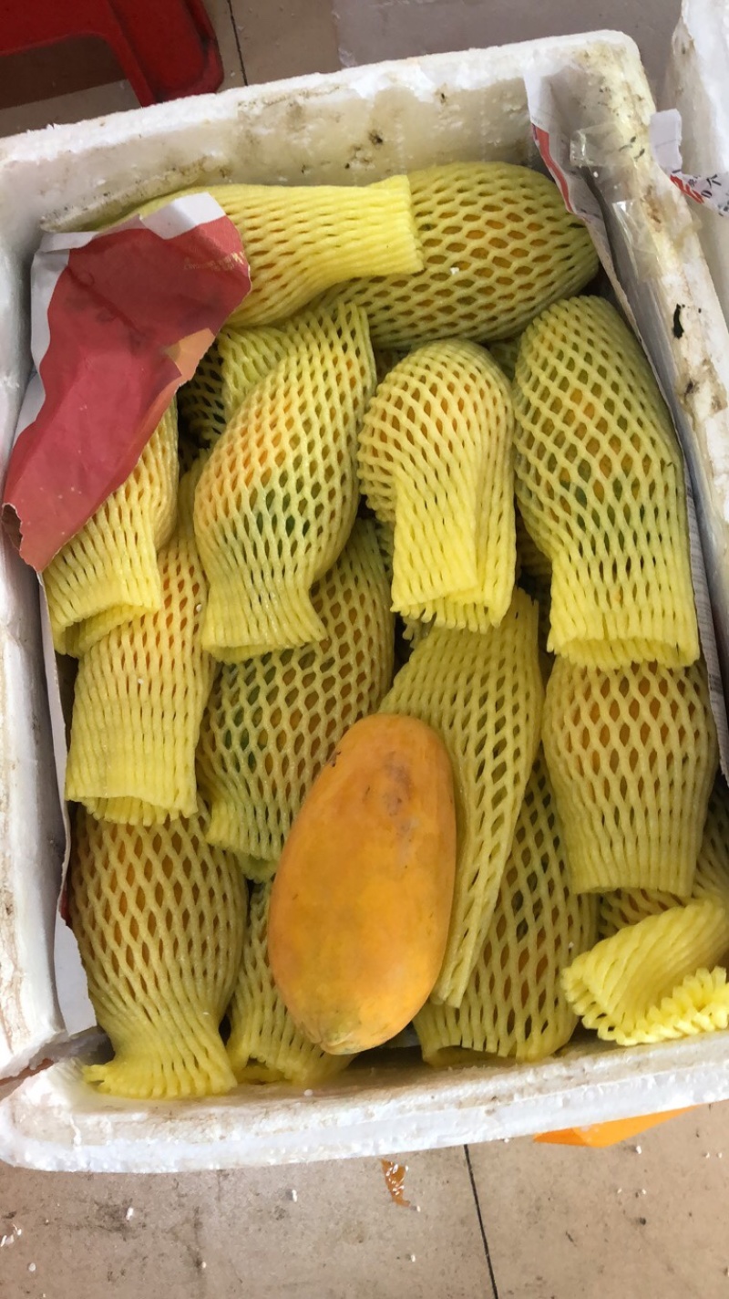 水果木瓜