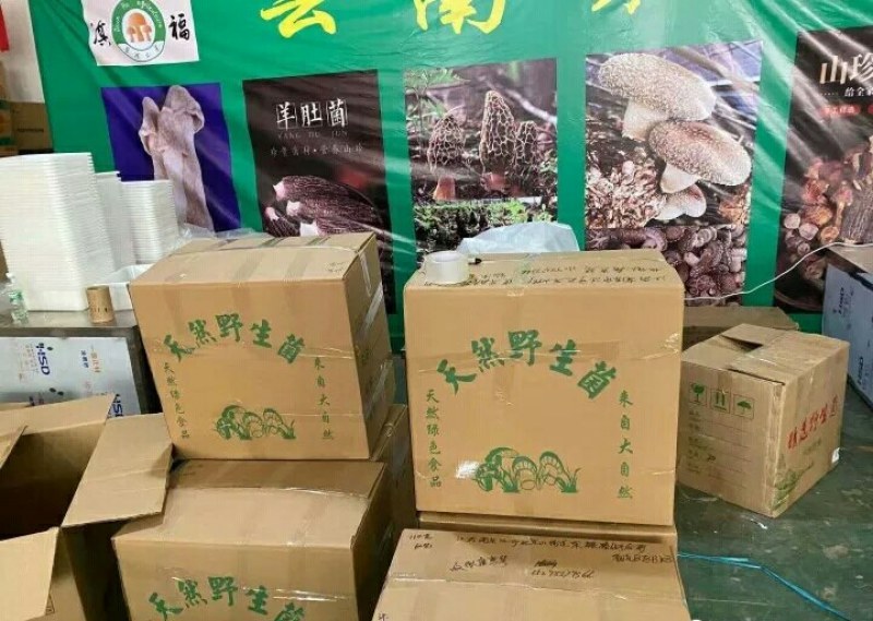 云南特产，七彩菌汤包，基地直供