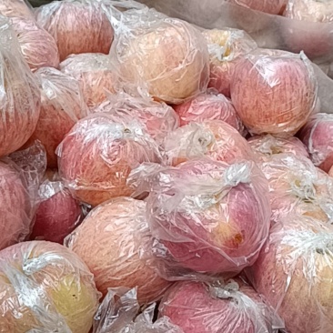 陕西纸加膜晚熟红富士苹果