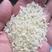 批发各种碎米，色选米，白粒米，酒米，品种齐全，价格便宜