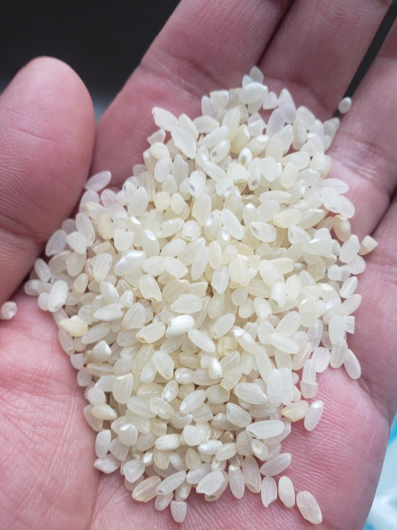 批发各种碎米，色选米，白粒米，酒米，品种齐全，价格便宜