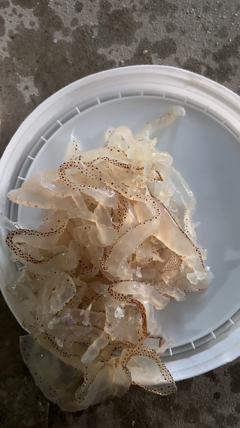 广东花丝，口感好，酒店专用，**酒店市场，一件可发