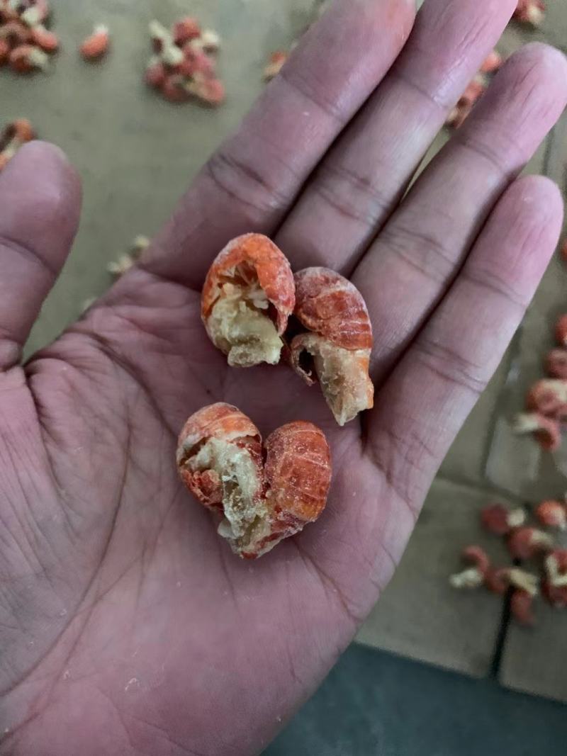 龙虾尾