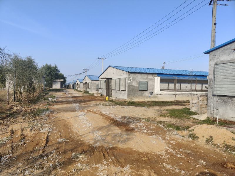 稻壳鸭粪鸭粪有机肥有机肥辅料发货全国质优价廉