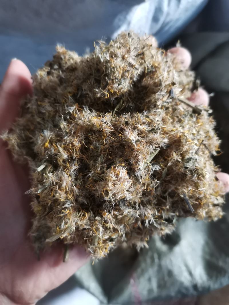 旋覆花山东野生干货选货高含量实拍图一公斤起