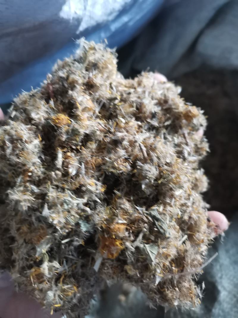 旋覆花山东野生干货选货高含量实拍图一公斤起