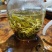 头春绿茶2022年云南早春滇绿茶银丝300克一盒