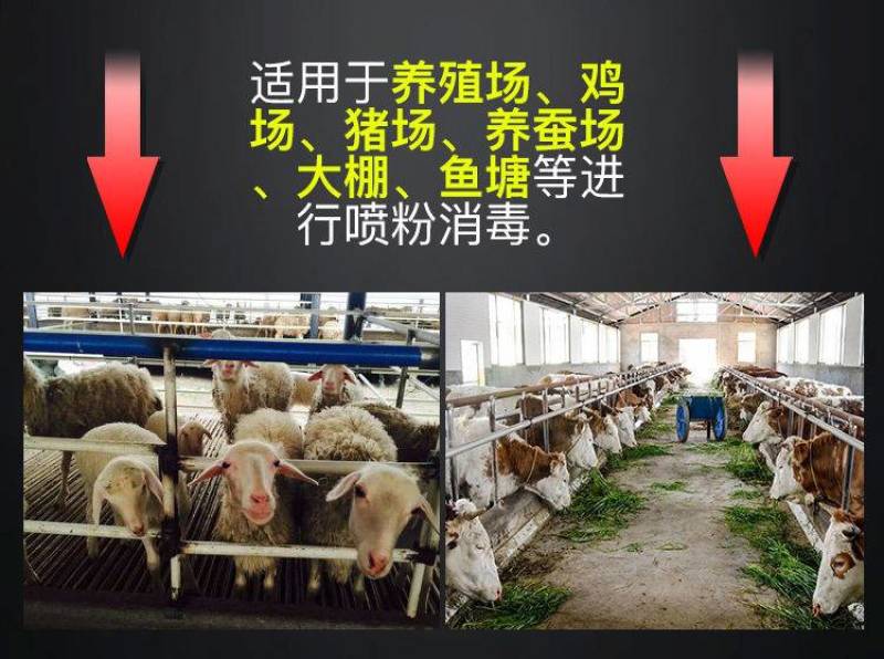电动石灰喷粉机养殖场猪场养蚕干粉喷粉器消毒机静电粉尘剂