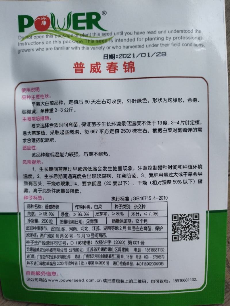 千腾大锦似锦进口黄心春白种子普威春锦抗病耐抽苔