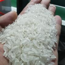 长粒香大米厂家货源质量物美价廉欢迎各位老板电联