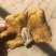 松蘑干，颜色好，无虫，肉厚