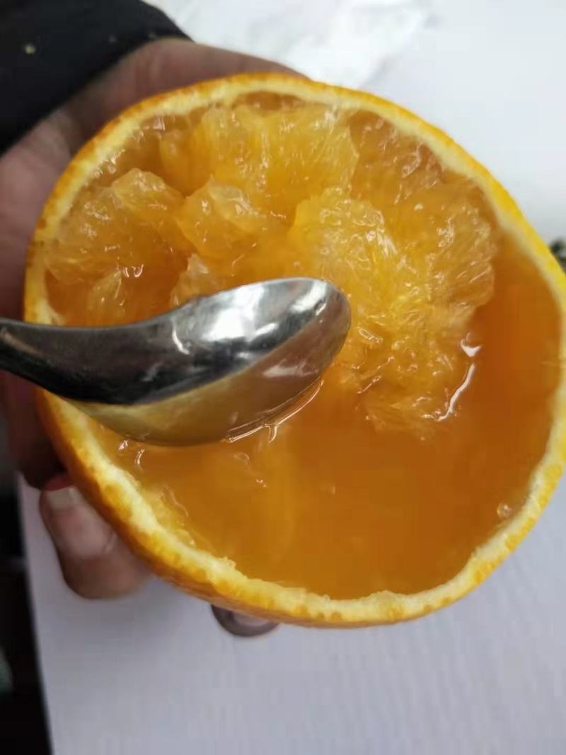 爱媛橙产地一手货源直供口感纯甜可视频看货