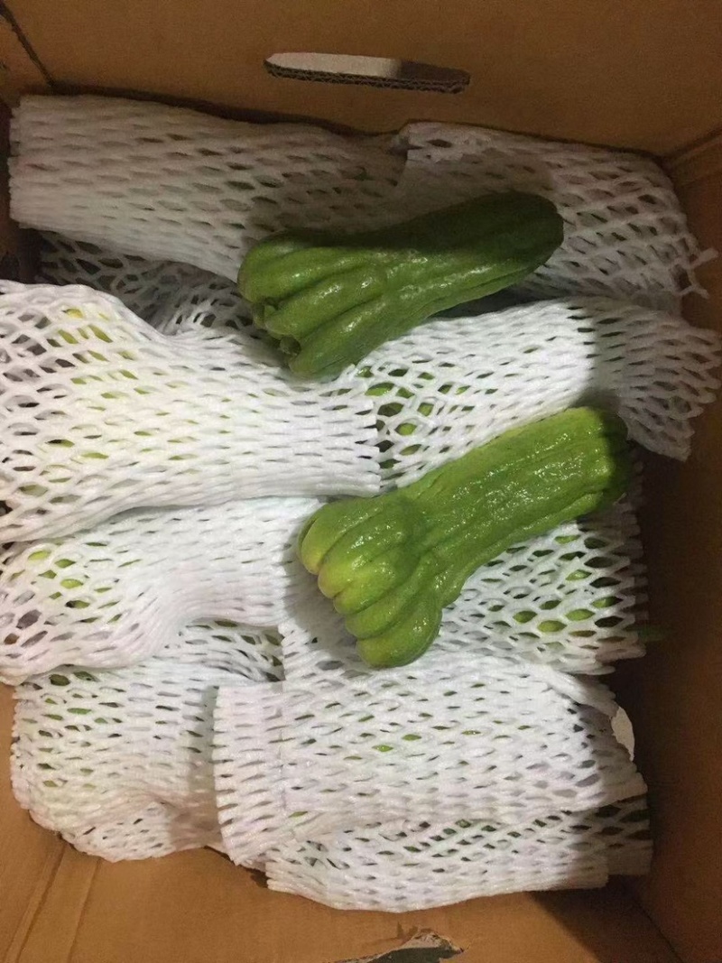 新鲜佛手柑广佛手鲜果基地直供奶茶店专用