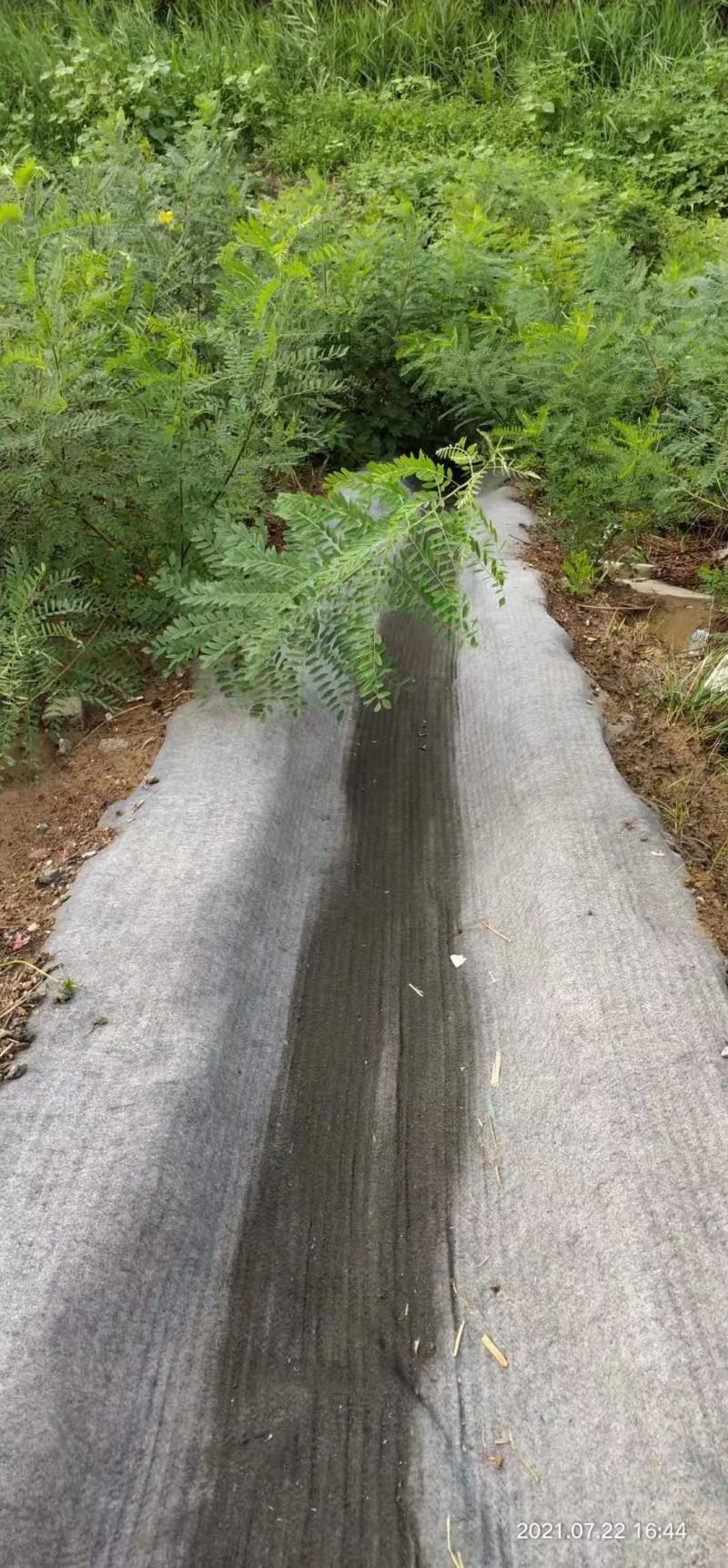 新型水泥毯施工方便浇水即用