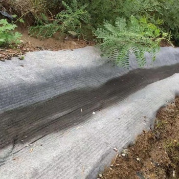 新型水泥毯施工方便浇水即用