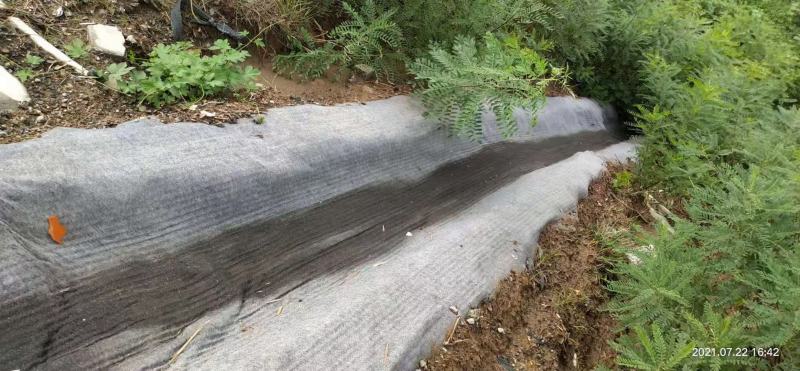 新型水泥毯施工方便浇水即用