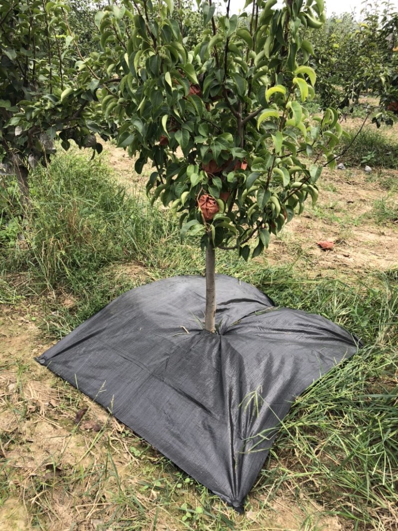 PE编织防草布可用五年除草布透气透水保湿保肥保墒
