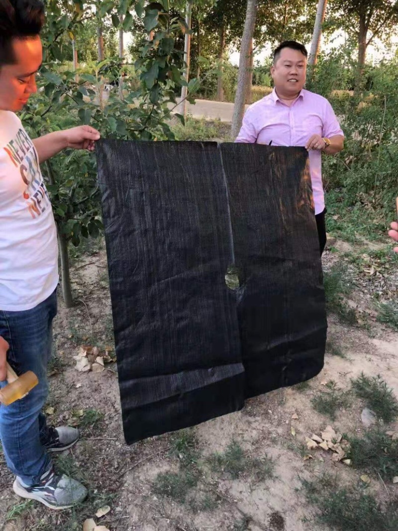 地布钉，防草布，地膜专用，大盖帽设计有倒刺不易拔出